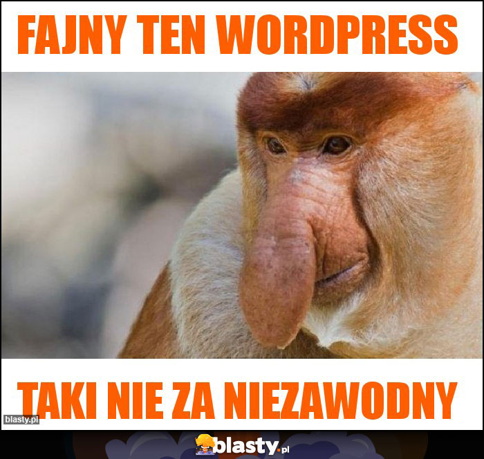 Fajny ten wordpress