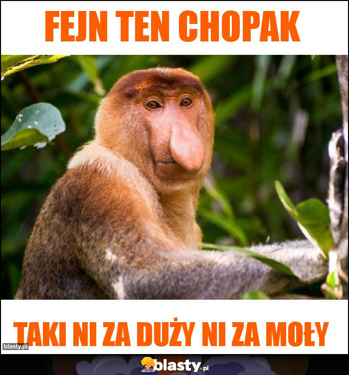 Fejn ten chopak