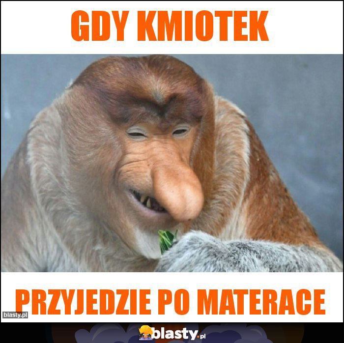 Gdy kmiotek