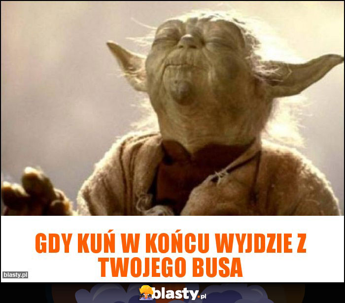 Gdy kuń w końcu wyjdzie z twojego busa