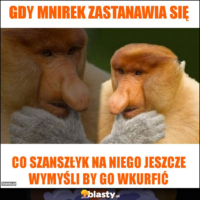 gdy mnirek zastanawia się