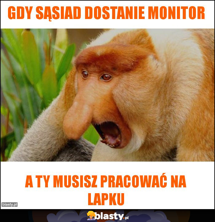 Gdy sąsiad dostanie monitor