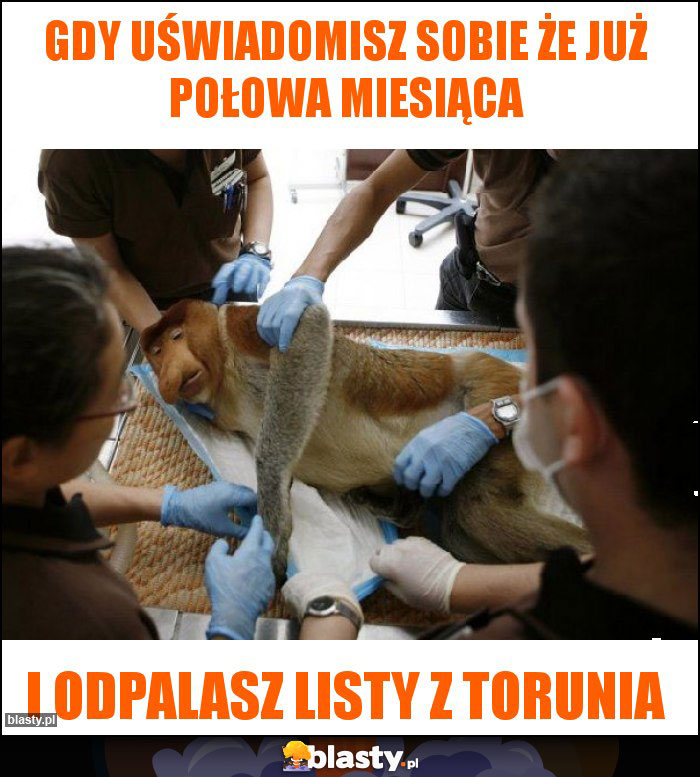 Gdy uświadomisz sobie że już połowa miesiąca