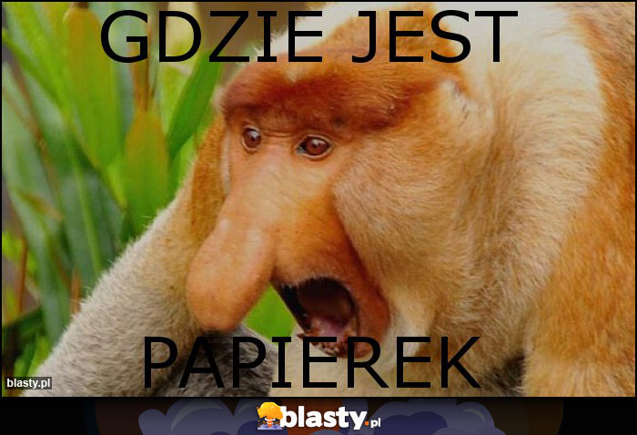 Gdzie jest