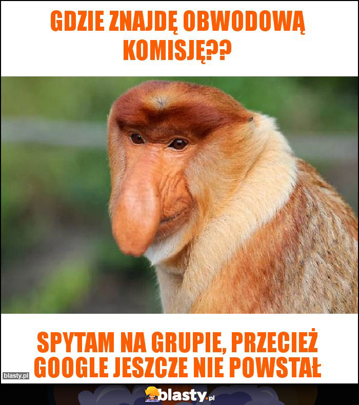 Gdzie znajdę obwodową komisję??