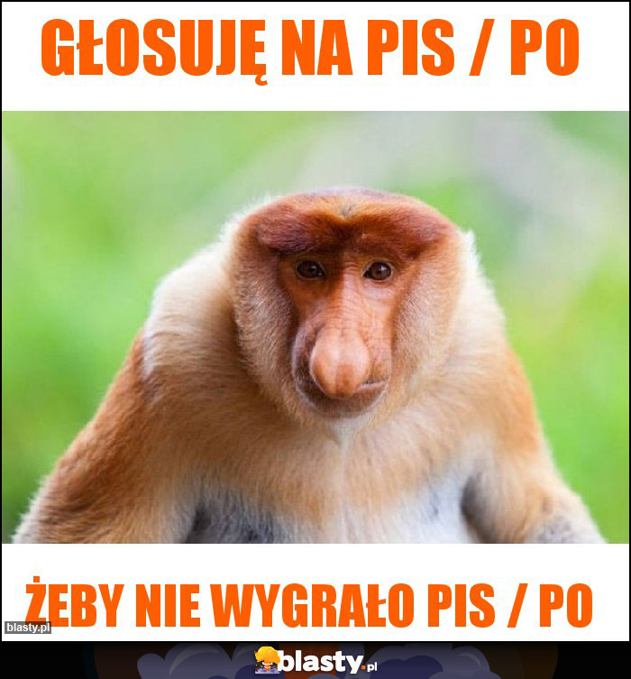 Głosuję na PIS / PO