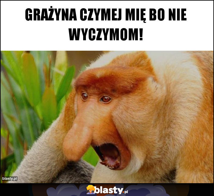 Grażyna czymej mię bo nie wyczymom!