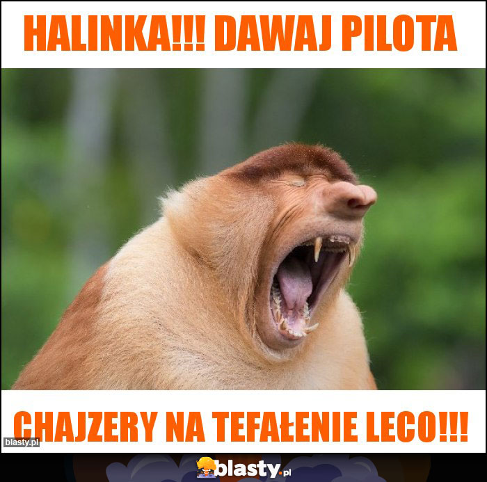 Halinka!!! Dawaj pilota