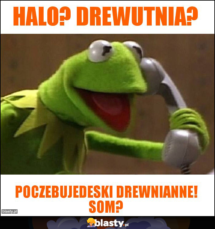 Halo? Drewutnia?