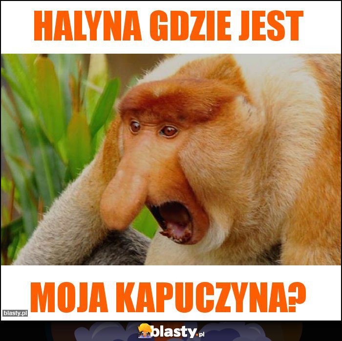 Halyna gdzie jest