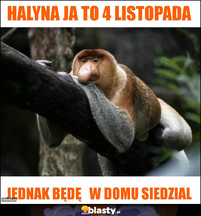 HALYNA JA TO 4 LISTOPADA