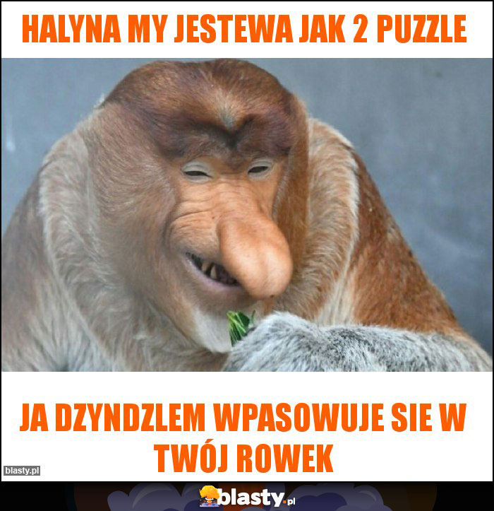 halyna my jestewa jak 2 puzzle