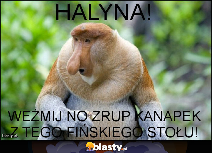 Halyna!