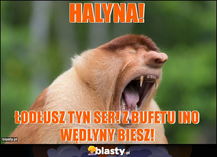 Halyna!