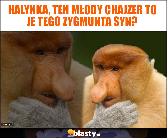 Halynka, ten młody chajzer to je tego Zygmunta syn?