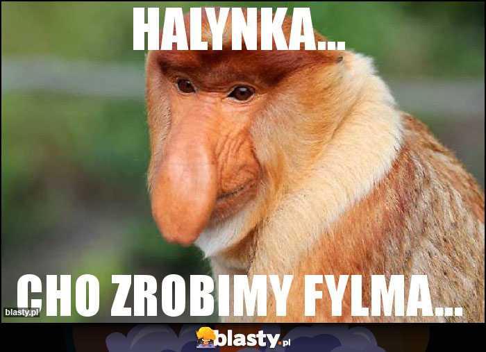 Halynka...