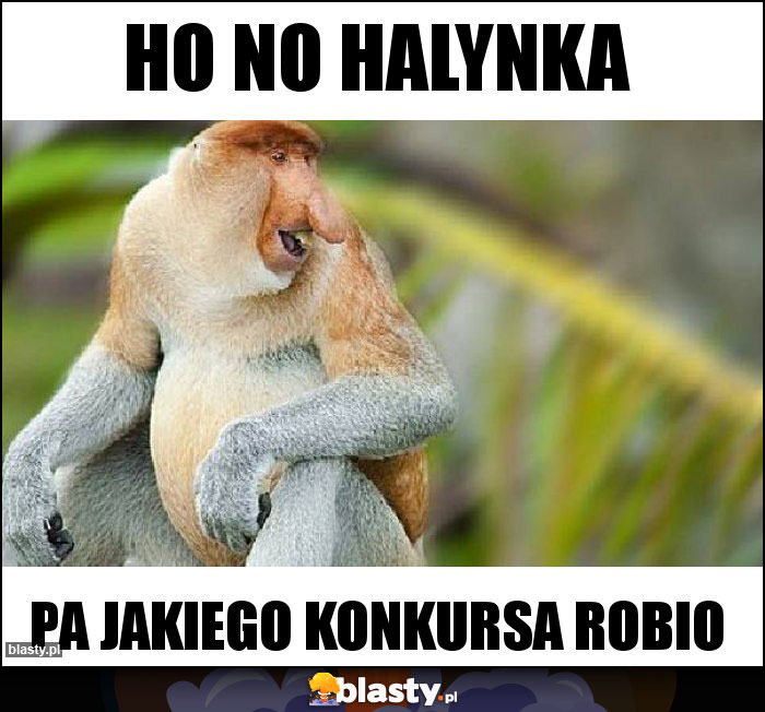 hO NO HALYNKA