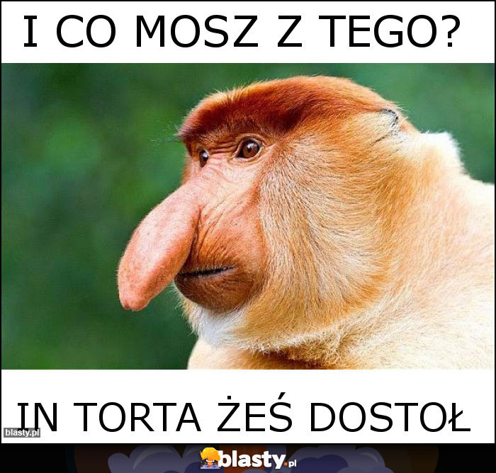 i co mosz z tego?