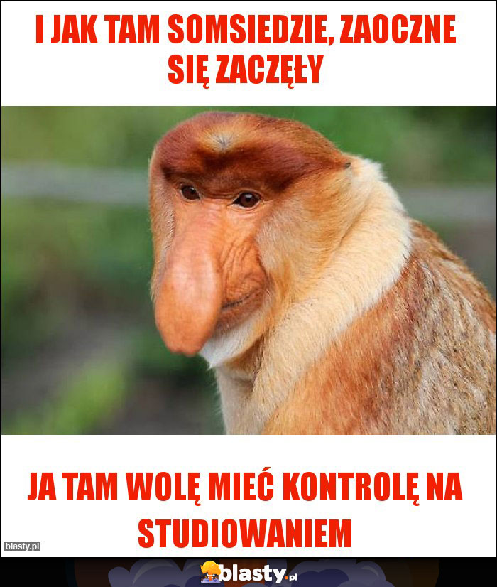 I JAK TAM SOMSIEDZIE, ZAOCZNE SIĘ ZACZĘŁY