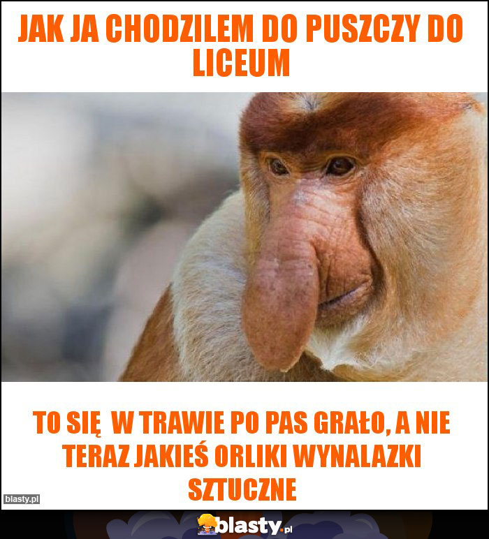 Jak ja chodzilem do puszczy do liceum