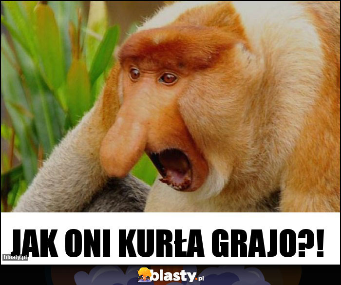 jak oni kurła grajo?!