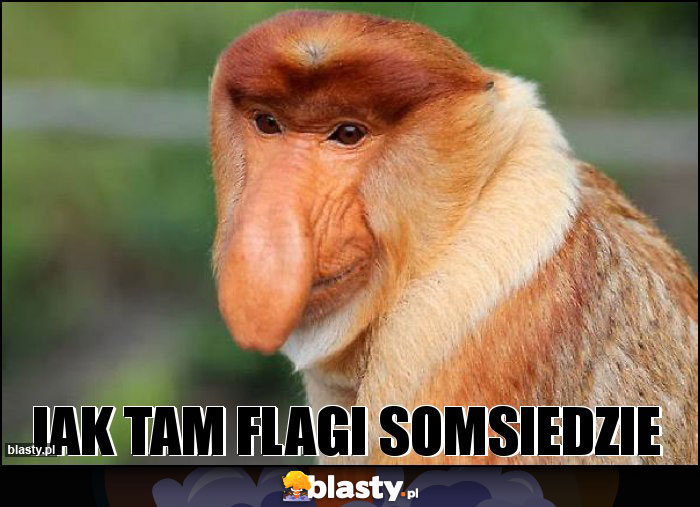 Jak tam flagi somsiedzie