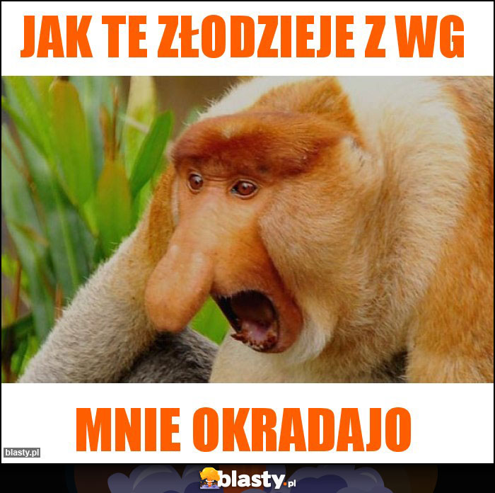 Jak te złodzieje z WG