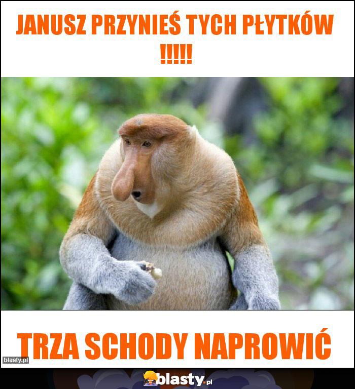 Janusz przynieś tych Płytków !!!!!