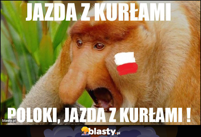 jazda z kurłami