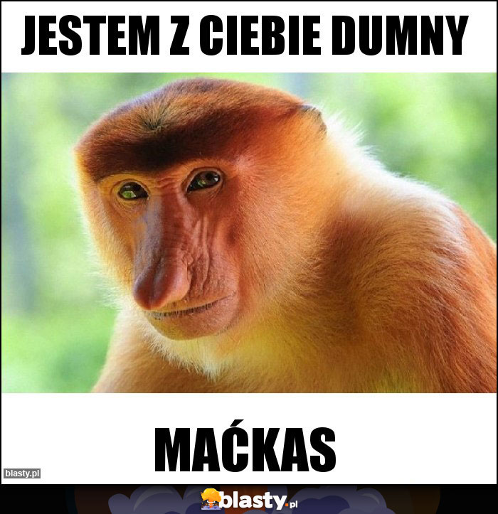 Jestem z ciebie dumny