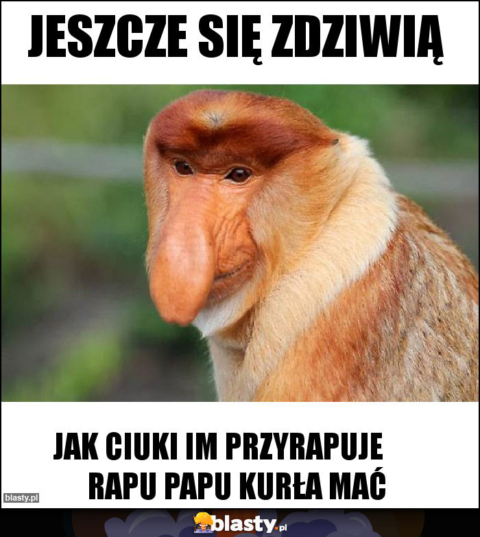 jeszcze się zdziwią