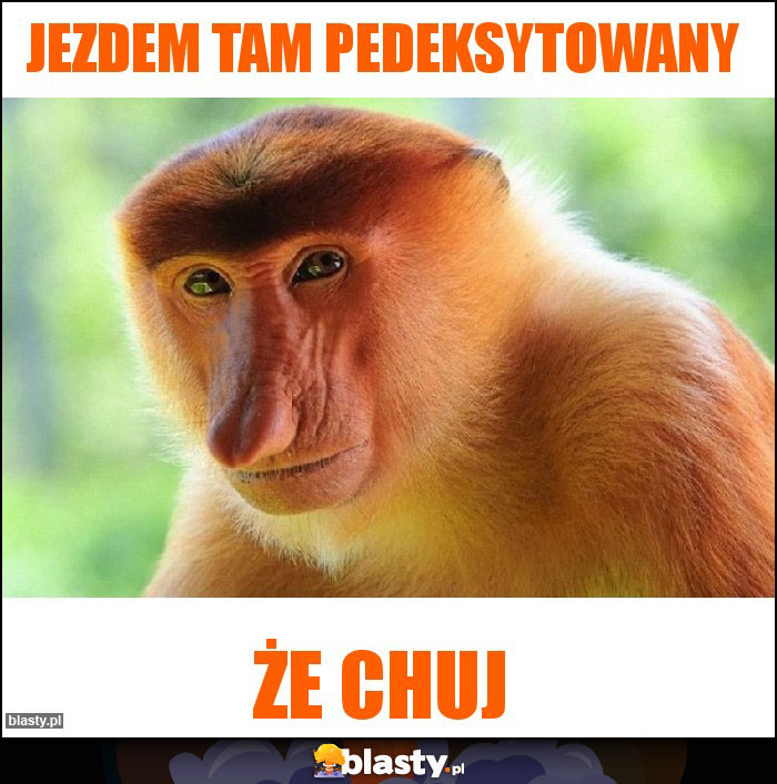 Jezdem tam pedeksytowany