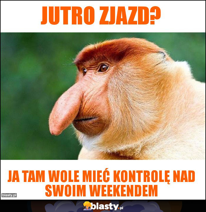 Jutro zjazd?