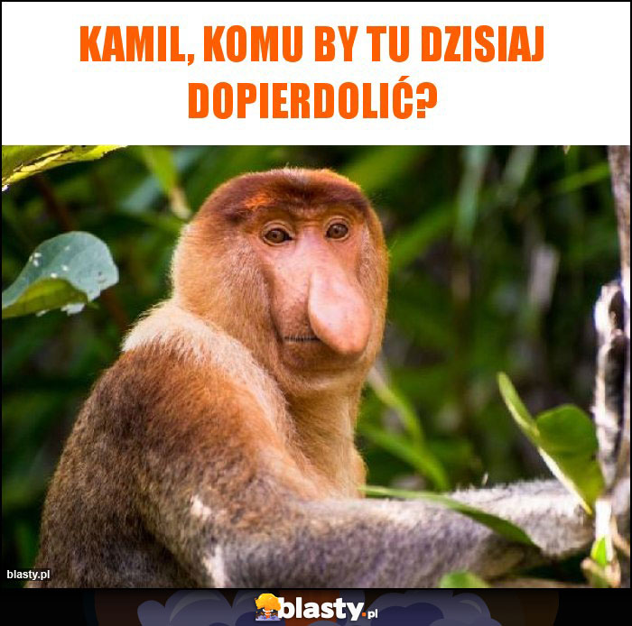 KAMIL, KOMU BY TU DZISIAJ DOPIERDOLIĆ?