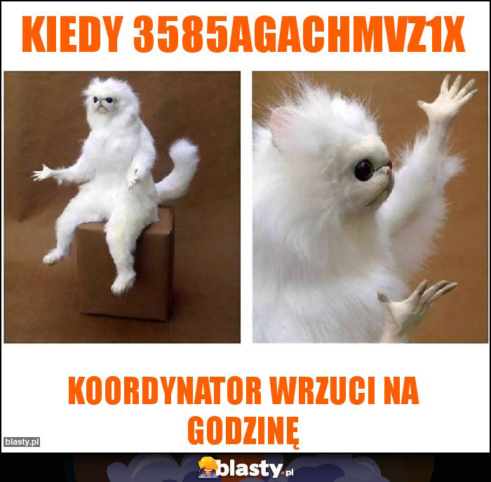 Kiedy 3585AGACHMVZ1X