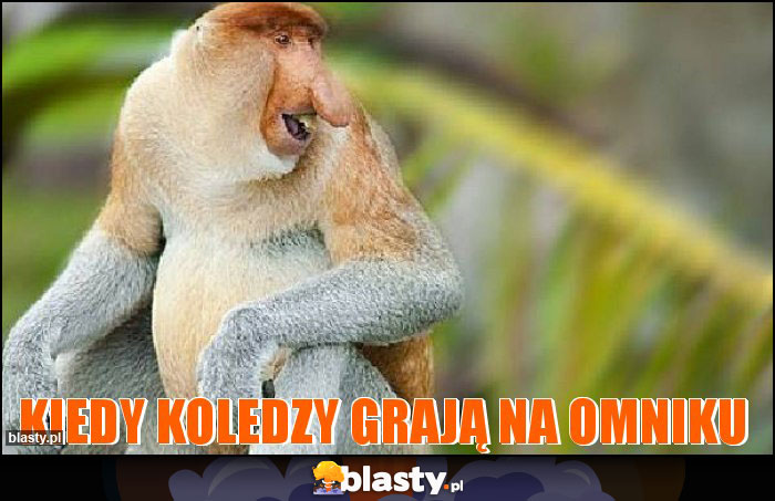 kiedy koledzy grają na omniku