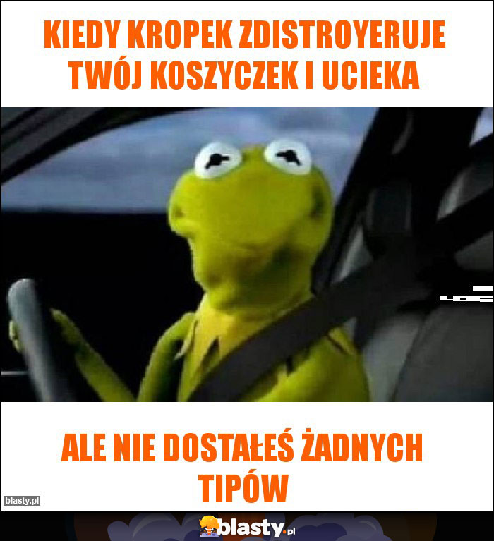 Kiedy kropek zdistroyeruje twój koszyczek i ucieka