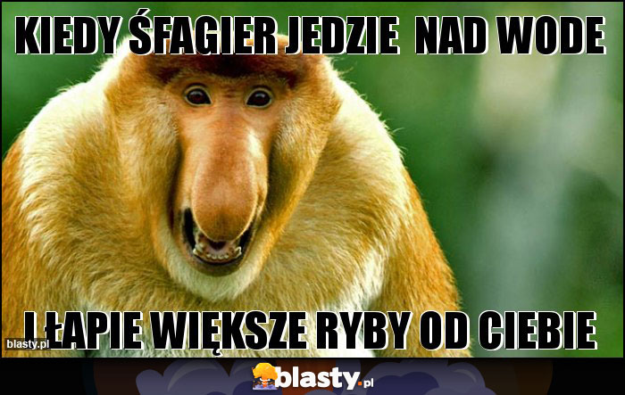 Kiedy śfagier jedzie  nad wode