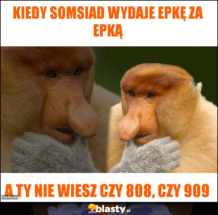 Kiedy Somsiad wydaje epkę za epką