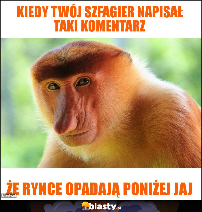 Kiedy Twój szfagier napisał taki komentarz