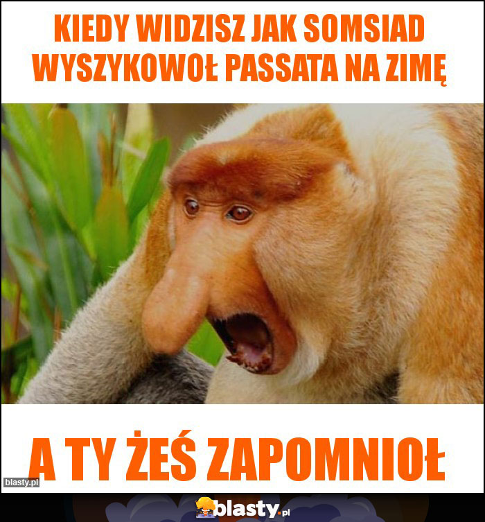 Kiedy widzisz jak somsiad wyszykowoł passata na zimę