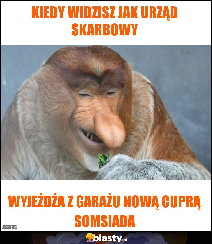 KIEDY WIDZISZ JAK URZĄD SKARBOWY