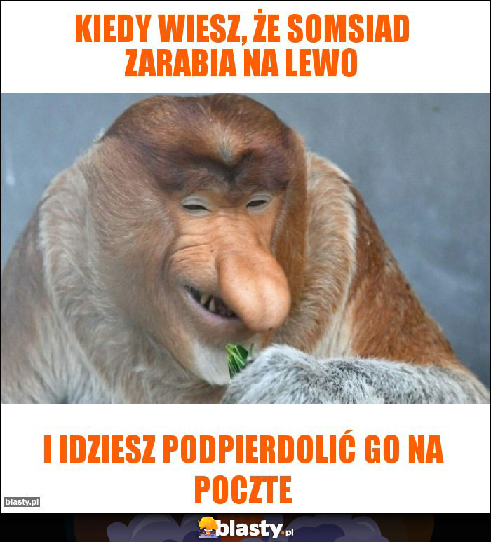 Kiedy wiesz, że somsiad zarabia na lewo