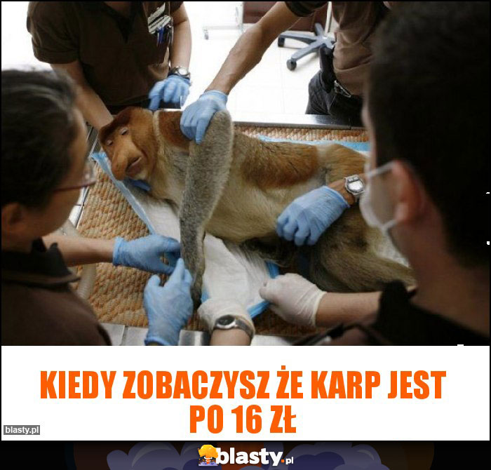 Kiedy zobaczysz że karp jest po 16 zł