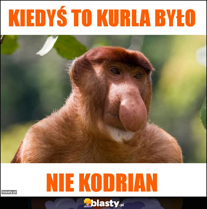 Kiedyś to kurla było