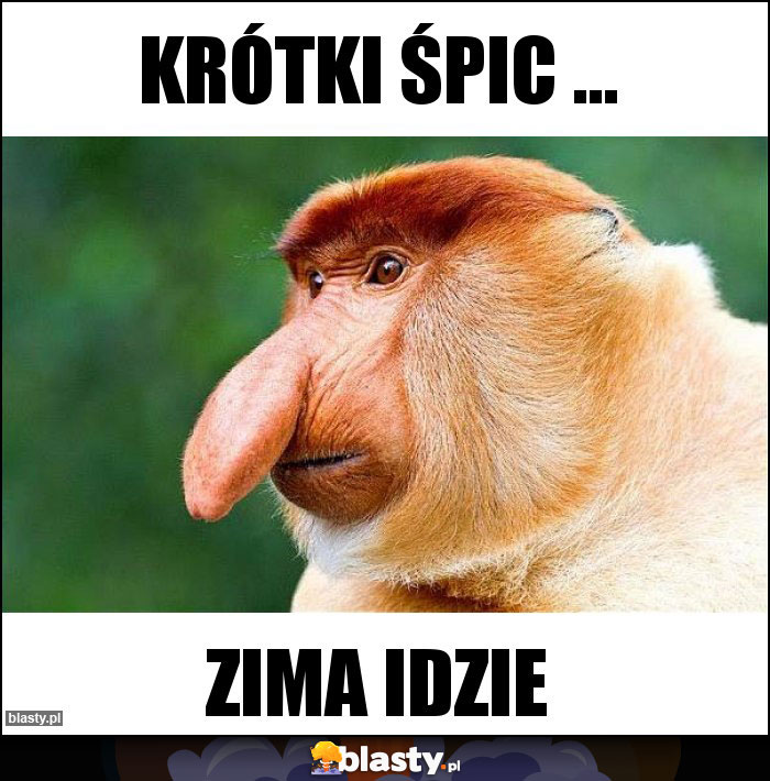 Krótki śpic ...