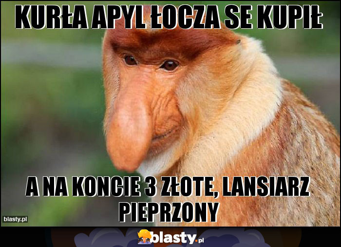 KURŁA APYL ŁOCZA SE KUPIŁ