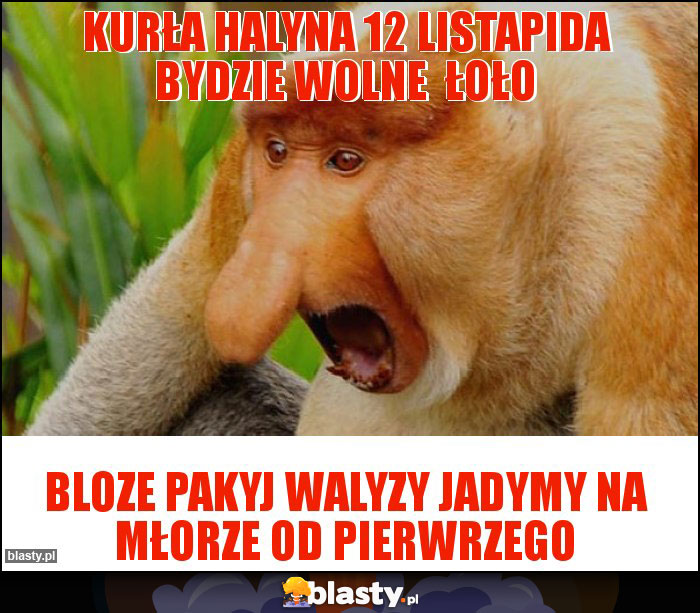 Kurła halyna 12 listapida bydzie wolne  łoło