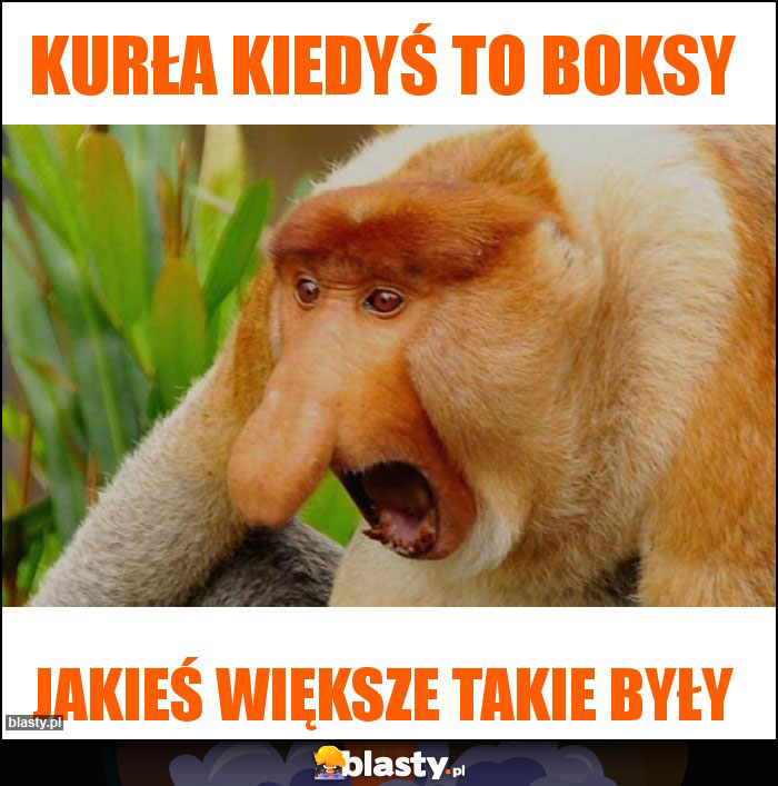 KURŁA KIEDYŚ TO BOKSY