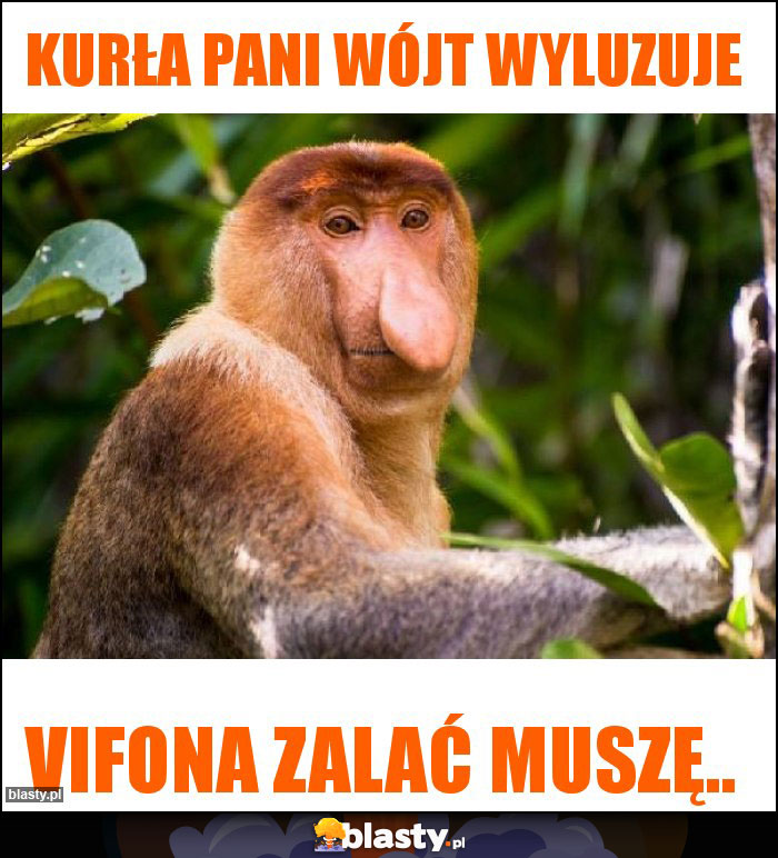 Kurła pani wójt wyluzuje